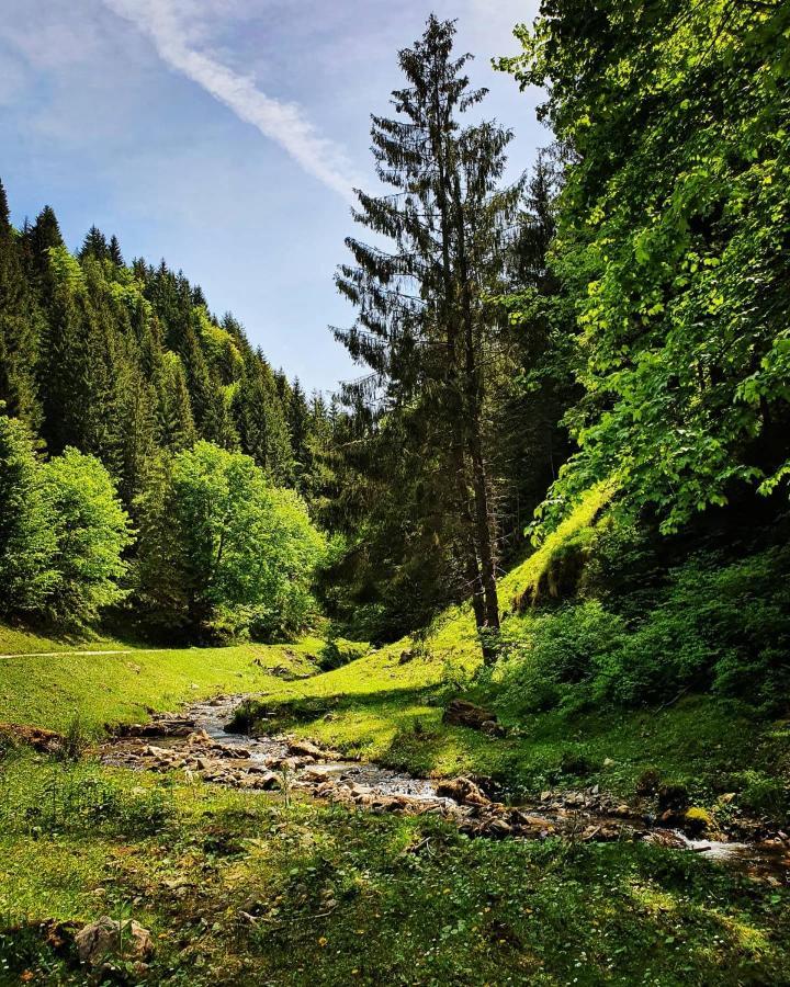Casa Sena Villa Felsőmoécs Kültér fotó